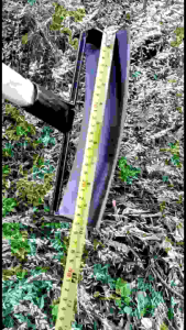 Cangkul Garuk Pembersih Pemotong Gulma Rumput Liar Kebun Sawit Jeruk Baja Salendang Asli