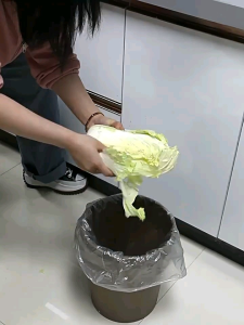 Thùng rác treo cài bếp ECOCO 10L cao cấp 2236