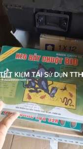 10 Miếng keo bẫy chuột siêu dính size đại Đại Phát