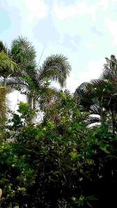 Setelan Baju Olahraga Wanita Terbaru: Hot Pants & Celana Pendek Bra Sport