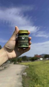 ยาหม่องเขียว เสลดพังพอน ตราพรรณทิพย์โอสถ ของแท้ 💯 พร้อมส่ง