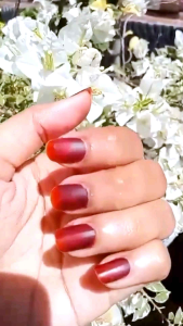 Kutek Henna Al-latif Halal BPOM Bravado Black 5gr