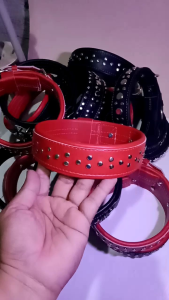 kalung anjing aksesoris anjing hewan leher anjing peliharaankulitoscarrasslayangkampung