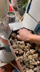 Bột Tam Thất Bắc 500g Mịn Nguyên Chất Tốt Cho Sức Khỏe Phòng Chống Ung Thư