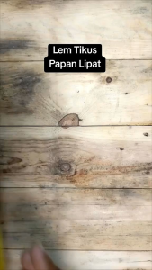 Lem Perangkap Tikus - Lem Jebakan Tiku - Pembasmi Tikus - Tempelan Tikus-Lem Tikus - Kuat Lem Hama