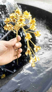 ปิ่นปักผมดอกไม้ไหวทองเหลือง