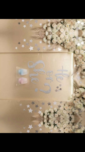 He or She Gender Reveal Backdrop for Baby Shower Decorations