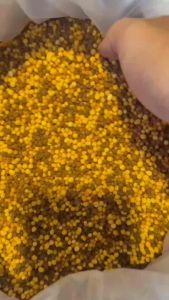 ปุ๋ยออสโมโค้ท ปุ๋ยละลายช้า (แบ่งบรรจุ) สูตรเสมอ 16-16-16 ละลายช้า 4เดือน มัลติเทค ( ปุ๋ยแคคตัส ปุ๋ยออสโมโค้ท)