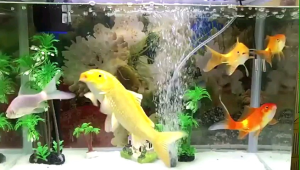 Máy sục sủi oxy mini 2 vòi ELECTRICAL RS-348A 5W loại tốt siêu êm tiết kiệm điện năng tặng kèm 2 đá sủi oxy và 2m dây sủi trị giá 25k