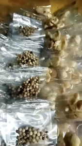 Bumbu Masak Kemasan Renceng Isi 5 Bungkus