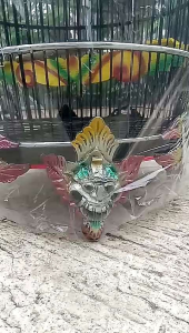 Sangkar Perkutut Mahkota Piber & Kandang Burung Merak Elegan: Harga Murah, Kualitas Terbaik di Cianjur