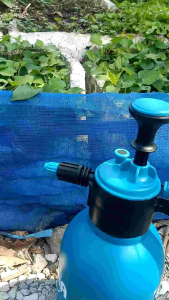 Bình xịt tưới cây Suvina 2L