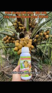 PHÂN BÓN BUNG LƯỠI MÈO CHAI 500ML GIÚP BUNG LƯỠI MÈO ĐỒNG LOẠT CHỐNG RỤNG HOA VÀ TRÁI NON TĂNG ĐẬU TRÁI LỚN TRÁI SAI QUẢ