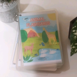 Animal Flashcards (31 PCS)