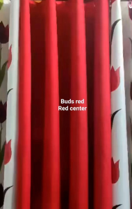 buds red ring curtain 3in1 and per pc