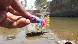 JAWS TERONGPET KATILAYU-UPLUK UPLUK- UMPAN MANCING KOCOLAN