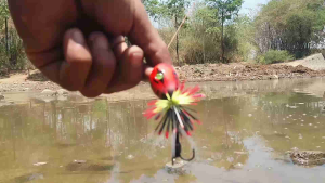 JAWS TERONGPET- Dizzy frog mini- UMPAN CASTING KOCOLAN