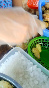 ( Hủ 15kg) Trái Nhàu Ngâm Đường Phèn Hỗ Trợ Sức Khoẻ - Dược Liệu Quý