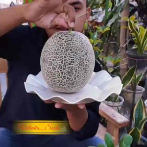 [Virladia Seeds] Biji Benih Tanaman Rock Melon