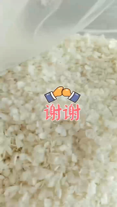 鱼鳞片(中片) Siakap fish scales 500g