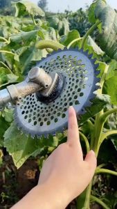 Lưỡi máy cắt cỏ Nhật dĩa cắt cỏ lưỡi dao tròn 254 có 60 - 40 răng gắn hợp kim