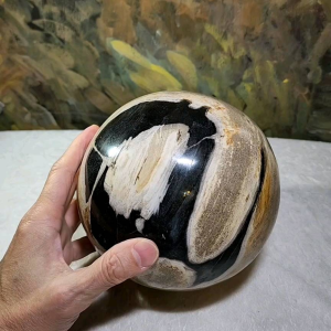 Large 16cm Premium hand polished Petrified Wood "a" and many unique patterns feng shui globe ball  [Natural Crystal] 精品大尺寸木化石多色多图形"a字" 人工切割打磨镇宅风水球 #2