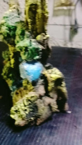 Tebing Hiasan Aquarium yang Dapat Memberikan Visual Indah Mewah dan Elegan