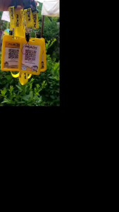 ป้ายสแกน QR Code รับชำระเงิน พร้อมสายคล้องคอขนส่ง