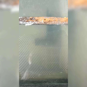 Corong mufler universal metic motif karbon celup wtp reallfict sesuai dengan Poto produk