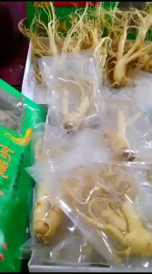 Gingseng merah korea
