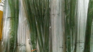 Floral Wires Size#182022262830