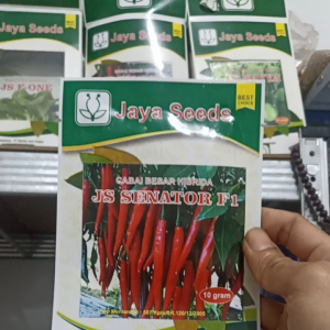 Benih Bibit Cabai Merah Besar Tahan Virus JS SENATOR F1 10 GRAM JAYA SEED Setara Pilar Baja Darmais