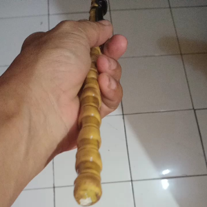 joran cendani full fiber untuk ikan mas 125cm