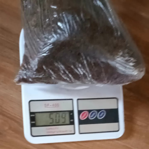 Binhi ng Kabuteng Saging (Volvariela Vulcacea Spawn)