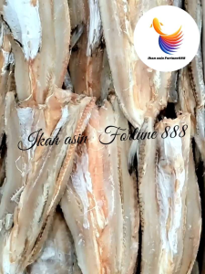Ikan Asin Bloso/Gabus Laut Belah Asin Kualitas Super