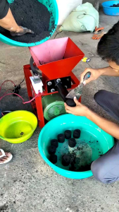 Charcoal Briquetting Machine [CBM100SE00]