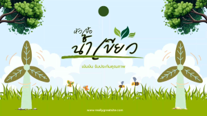 หัวเขื้อน้ำเขียวสาหร่ายคลอเรล่า 600ml - 2 ขวด ฟรี 1 ขวด