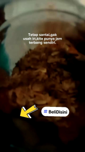 Bawang Putih Goreng Grade A 1 kg Organik