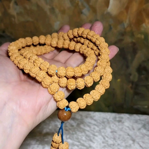 Gegegems Creation 10.8mm 6-Mukhi (Faces) natural abacus shape deep lines "Flower King" Rudraksha 108 mala beads necklace 10.8毫米六瓣矮粧深坑花王小金刚菩提108念珠项链 Chinese amulet charm jewelry gifts