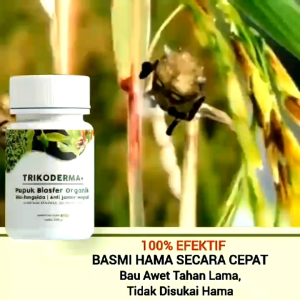 Tricoderma BELI 3 GRATIS 1 250ml Fungisida Pembasmi Jamur Pencegah Layu tanaman Patek Cabai & Busuk