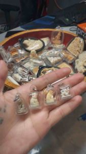 luang Phor Piao Phra 2557 拜师法会限量笑面虎 Suea Yim 虎牙雕刻 佛牌 权威 人缘 泰国佛牌 Thai Buddha Wat PaChaRatBanDung 2557 Suea Yim