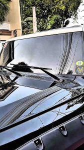 ZAF Magic Glass Guard Restoration Coating | Heavy Duty Acid Rain & Oil Film Remover | Professional Car Glass Stain Cleaner | Crystal Clear Finish + Free Microfiber Towel