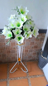 Bunga Pojok Bunga hiasan Ruang Tamu Bunga tinggi pojok amarilis kuntum 20 berikut pot