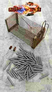 สปริงกรงดักหนูสแตนเลสไม่เป็นสนิม