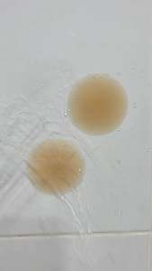 CELEB.BRA🍼✨ ซิลิโคนแปะจุกเกรดพรีเมี่ยม กาว ซิลิโคนเกรดการแพทย์ Medical Grade Cilicone Nipple Cover