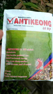 Keong Mas Hancur total ! Lindungi Tanaman PAdi Anda dengan ANTI KEONG 60 WP 100 gram sekarang. Solusi Ampuh Basmi Keong. Pilihan Petani Sukses.