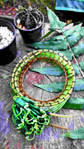 ครืนแขวนดักนกกวัก 4.5 นิ้ว สีเขียวใบไม้ ขนาดพันหลอด พร้อมรังเก็บ เชื้อ