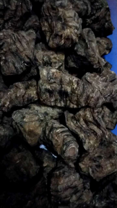 Klembak Kering Kualitas Super Berat 100 Gram