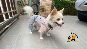 ชุดสี่ขา เอี๊ยมเขียว เสื้อชมพู เอี๊ยมเทา เสื้อเรนโบว์ สำหรับหมา แมว