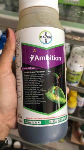 Ambition 500ml Zat Aktivator Tanaman Zpt